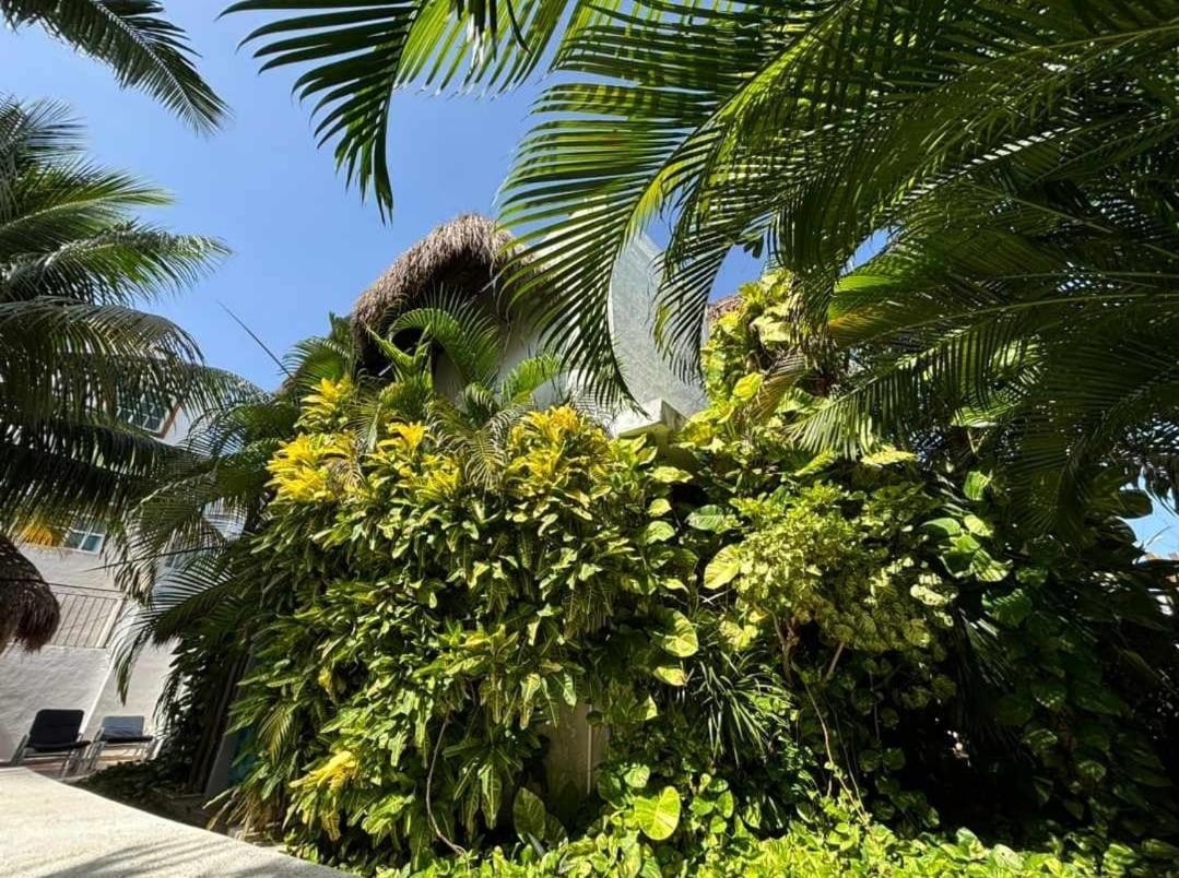 Casa Nona Rosa Appartement Cancún Buitenkant foto